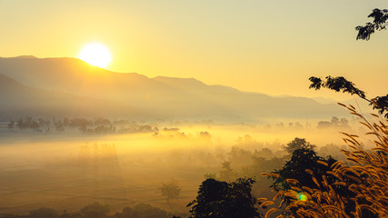 The beautiful landscape of the sunrise, The sun's rays through at the top of the hill and the moving fog over the tree in the rice fields, Chiang Rai Northern  Thailand.