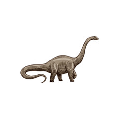 Sauropod dinosaur isolated Brachiosaurus sketch. Vector Camarasaurus, prehistoric extinct animal © Vector Tradition