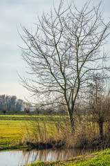 At the edge of a Dutch polder