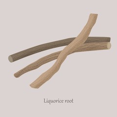 Brown sticks of licorice root sweet on a gray background. Culinary, medical, healthy plant Glycyrrhiza glabra.