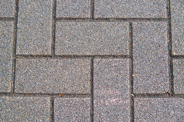 煉瓦模様の歩道