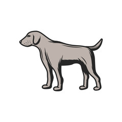 Hunting dog and pet icon. Vector hunter gun dog hound for birds trophy
