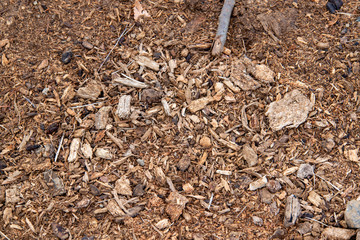 落ち葉と木くず