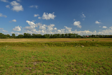 Łąka na pierwszym planie i drzewa oraz domy na horyzoncie w letni dzień pod niebem z obłokami. © W Korczewski