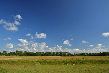 Łąka na pierwszym planie i drzewa oraz domy na horyzoncie w letni dzień pod niebem z obłokami. © W Korczewski