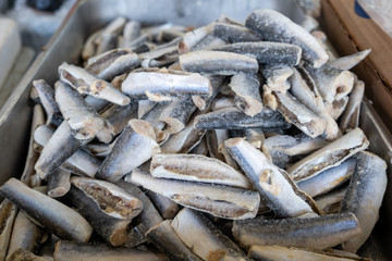 Frozen Merluccius merluccius or European hake fish for sale at the city market