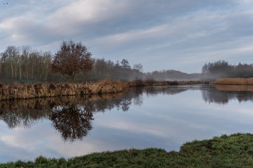 Quiet morning near the winter lake