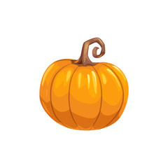 Pumpkin ripe gourd, fall harvest vegetable. Vector squash with stem, autumn food