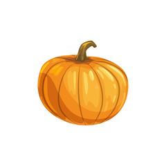 Round pumpkin isolated autumn vegetable, vegetarian food. Vector Halloween holiday decoration
