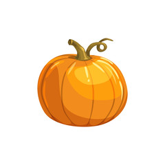 Pumpkin with curved stem isolated vegetarian food. Vector organic squash gourd, autumn vegetable