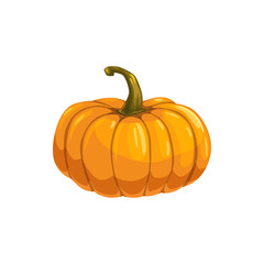 Gourd vegetarian food isolated squash. Vector orange pumpkin with stem, fall harvest