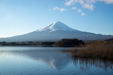 Fototapeta na wymiar 河口湖の富士山　世界遺産