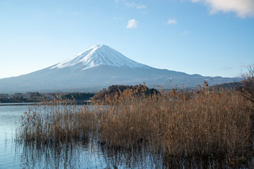 河口湖の富士山　世界遺産