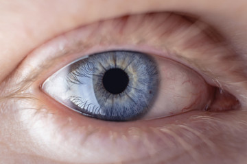 Naklejka premium Close-up of the eye, macro photo. The iris is gray-blue. Copyspace. The concept of ophthalmology, pigmentation of the iris. The eye looks at the lit subject.
