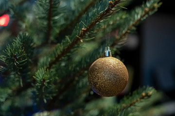 Brilliant gold-colored glass toy ball on a Christmas tree, on a blurred background of garland.