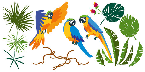 Set of vector tropical elements. Leaves, parrots, flowers, branches. Typographic design. Flat style.  Vector illustration