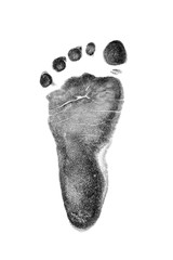 Baby footprints on transparent paper. Black footprint isolated on white background.  - 312779199