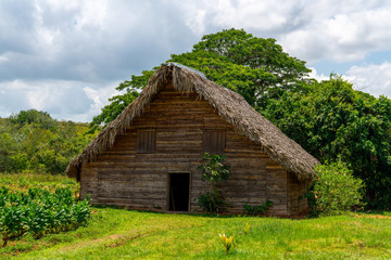 Fototapeta premium Tobacco shed or barn for drying tobacco leaves in Cuba