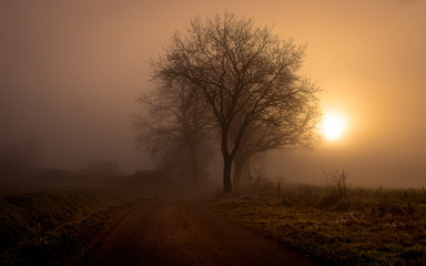 a foggy and sunny winter day