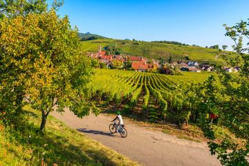 Young woman cycling on road along vineyards to Kaysersberg village, Alsace Wine Route, France © pkazmierczak