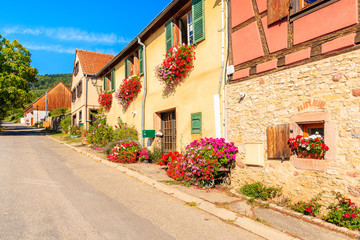 Fototapeta na wymiar Street with traditional houses in famous Hunawihr village, Alsace wine route, France