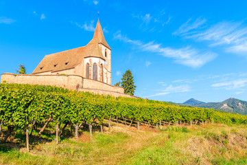 Fototapeta na wymiar Picturesque church in vineyards in famous Hunawihr village, Alsace Wine Route, France