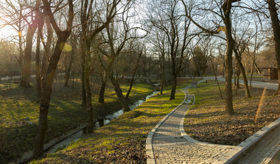 Nature day in National Romanescu Parc Craiova