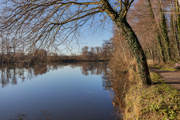 Obraz premium Viersen-Born - View to tranquil Lake Born / Germany