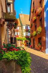 Fototapeta na wymiar ALSACE WINE REGION, FRANCE - SEP 19, 2019: Street with typical houses in Riquewihr picturesque village which is located on Alsatian Wine Route, France.