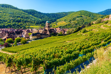 Green vineyards and view of Kayserberg medieval village on Alsatian Wine Route, France