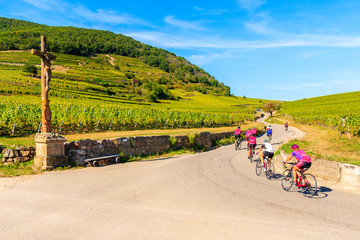 RIQUEWIHR, FRANCE - SEP 20, 2019: Men on road bikes cycling in vineyards near Riquewihr village on Alsatian Wine Route, France.