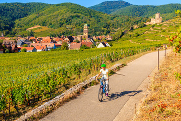 Young woman cycling on road along vineyards from Riquewihr to Kaysersberg village, Alsace Wine...