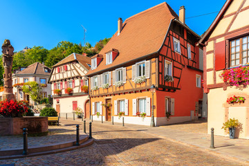 Fototapeta na wymiar Beautiful traditional colorful houses in picturesque Ribeauville village, Alsace wine region, France