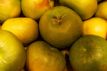 Many large ripe juicy pomelo on the counter in the supermarket. Close-up. Background. Space for text.