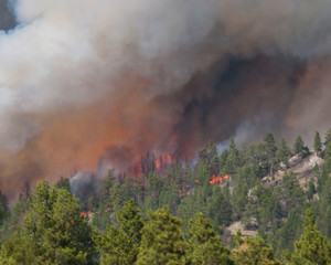 Fototapeta premium North Hills Fire 2019