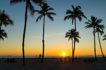 Obraz na płótnie Canvas Dramatic Golden sunrise under the palm tree on New years day 2020