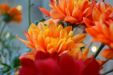 A bouquet of flowers, red as fire at home and a decoration of light. Flowers in a bouquet: Germini, Gerbera, Rose.