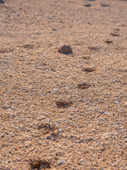 Views around Hawar Island in the Arabian Gulf, Bahrain