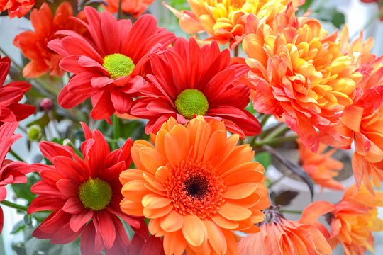A bouquet of flowers, red as fire at home and a decoration of light. Flowers in a bouquet: Germini, Gerbera, Rose.