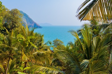 Fototapeta na wymiar palm trees on tropical beach