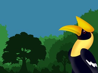 Illustration design of the hornbill on jungle background.