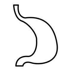 Stomach icon vector in line design