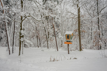 Little hut among the snowy forest