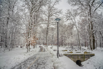 Road with a lantern among a snowy forest