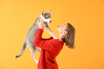 Cute teenage girl with funny husky puppy on color background