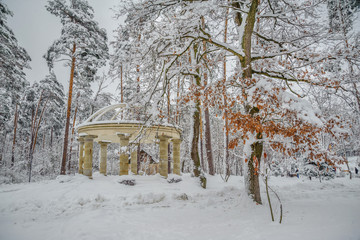 Yellow tree near a snowy rotunda in a winter forest