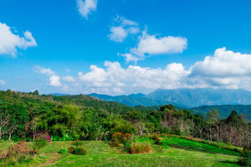 Naklejka premium Doi Luang, Chiang Dao, Chiang Mai, Thailand.