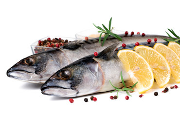 .raw fish with lemon on a white background