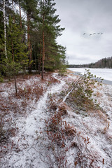 Obraz premium Trail along the shore of a frozen lake near a forest in the snow in winter