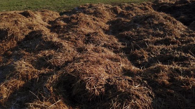 Muck heap in the nature